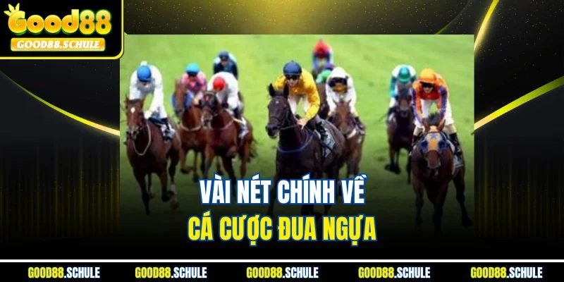 Vài nét chính về cá cược đua ngựa 
